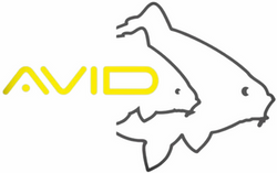 Avid Carp