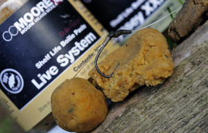 CC MOORE Live System Shelflife Boilie Paste 300g