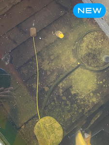 Catfish Pro Dropdown Sinking Rig Tubing