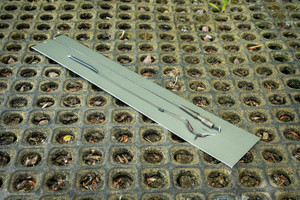 One More Cast Meta All-In 1 Corefree German Rig Lock Hook