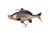 Fox Rage Super Natural Replicant Carp Lures