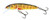 Salmo Floating Minnow 5cm 3g