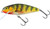 Salmo Floating Perch 8cm 14g Deep Runner