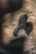 Korda Drykore Waterproof Trainers Dark Kamo