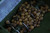 Ridgemonkey Advanced Boilie Crusher Particle Plate