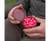 Avid Hookbait Pots
