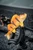 Fox Rage Ultra Realistic Replicant Golden Perch