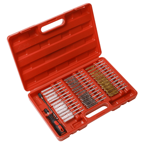 Sealey 38pc Cleaning Brush Set Injector Bore