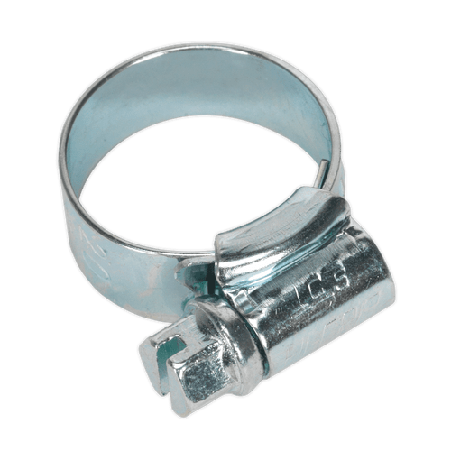 HI-GRIP¨ Hose Clip Zinc Plated ¯13-20mm Pack of 30 (HCJ00)