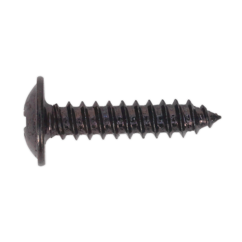 Self Tapping Screw 4.2 x 19mm Flanged Head Black Pozi Pack of 100 (BST4219)