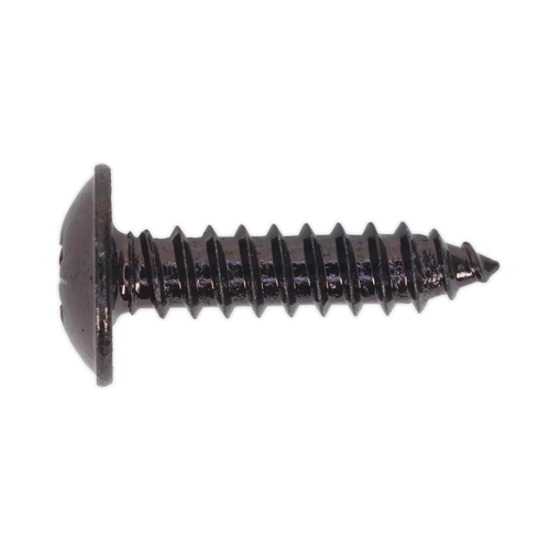 Self Tapping Screw 4.8 x 19mm Flanged Head Black Pozi Pack of 100 (BST4819)