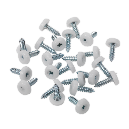 Numberplate Screw Plastic Enclosed Head 4.8 x 18mm White Pack of 50 (PTNP1)