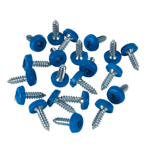 Numberplate Screw Plastic Enclosed Head 4.8 x 18mm Blue Pack of 50 (PTNP4)