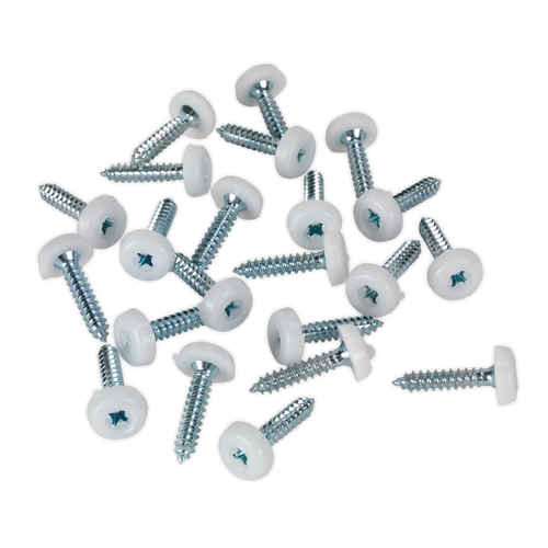 Numberplate Screw Plastic Enclosed Head 4.8 x 24mm White Pack of 50 (PTNP5)