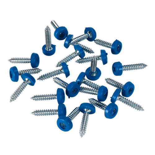 Numberplate Screw Plastic Enclosed Head 4.8 x 24mm Blue Pack of 50 (PTNP8)