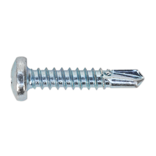 Self Drilling Screw 4.8 x 25mm Pan Head Phillips Zinc Pack of 100 (SDPH4825)