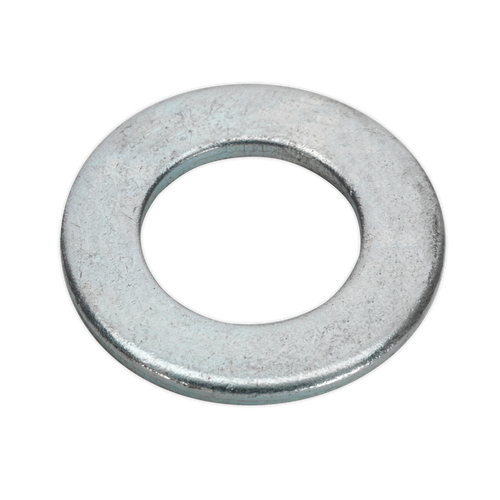 Flat Washer M20 x 39mm Form C Pack of 50 (FWC2039)
