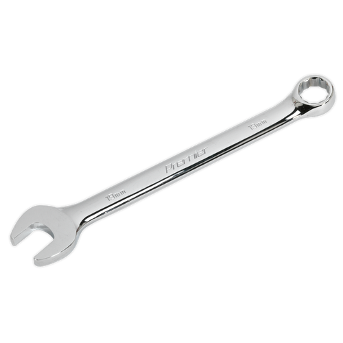 Combination Spanner 19mm (CW19)