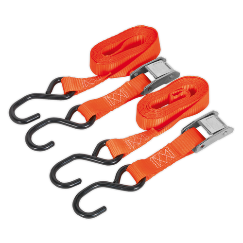 Cam Buckle Tie Down 25mm x 2.5m Polyester Webbing with S-Hooks 500kg Breaking Strength (TD05025CS)