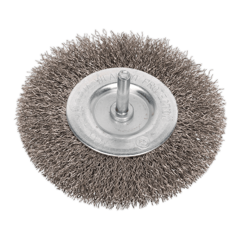 Flat Wire Brush Stainless Steel 100mm with 6mm Shaft (SFBS100)