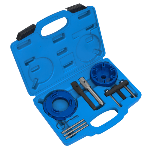 Timing Tool & Fuel Injection Pump Kit - Ford, PSA, LDV (VSE6940)