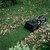 EcoFlow BLADE Robotic Lawnmower