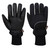 Apacha Cold Store Glove (Black)