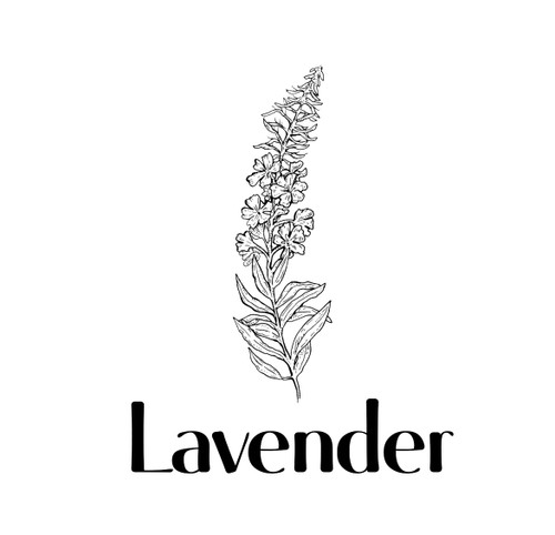 Lavender Oil