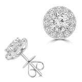 Round Lab Created Diamond  Halo Stud Earrings in White Gold (MD250396)