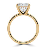 Princess Diamond Hidden Halo Solitaire with Accents Engagement Ring in Yellow Gold (MVSLG1388-Y) Princess Diamond Hidden Halo Solitaire with Accents Engagement Ring in Yellow Gold (MVSLG1388-Y)