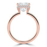 Princess Diamond Hidden Halo Solitaire with Accents Engagement Ring in Rose Gold (MVSLG1311-R) Princess Diamond Hidden Halo Solitaire with Accents Engagement Ring in Rose Gold (MVSLG1311-R)