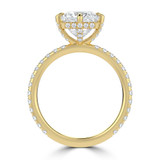Princess Diamond Hidden Halo Compass Set Solitaire with Accents Engagement Ring in Yellow Gold (MVSLG1629-Y)