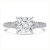 Princess Diamond Cathedral Split Shank Solitaire with Accents Engagement Ring in White Gold (MVSLG1453-W) Princess Diamond Cathedral Split Shank Solitaire with Accents Engagement Ring in White Gold (MVSLG1453-W)
