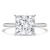 Princess Diamond Hidden Halo Solitaire with Accents Engagement Ring in White Gold (MVSLG1388-W) Princess Diamond Hidden Halo Solitaire with Accents Engagement Ring in White Gold (MVSLG1388-W)