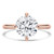 Round Diamond Compass Prong Solitaire Engagement Ring in Rose Gold (MVSLG1358-R)