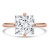 Princess Diamond Compass Prong Solitaire Engagement Ring in Rose Gold (MVSLG1355-R) Princess Diamond Compass Prong Solitaire Engagement Ring in Rose Gold (MVSLG1355-R)