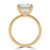 Princess Diamond Open Bridge Hidden Halo Solitaire with Accents Engagement Ring in Yellow Gold (MVSLG1348-Y) Princess Diamond Open Bridge Hidden Halo Solitaire with Accents Engagement Ring in Yellow Gold (MVSLG1348-Y)