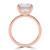 Princess Diamond Open Bridge Hidden Halo Solitaire with Accents Engagement Ring in Rose Gold (MVSLG1348-R) Princess Diamond Open Bridge Hidden Halo Solitaire with Accents Engagement Ring in Rose Gold (MVSLG1348-R)