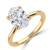 Oval Diamond Solitaire Engagement Ring in Yellow Gold (MVSLG1331-Y) Oval Diamond Solitaire Engagement Ring in Yellow Gold (MVSLG1331-Y)
