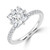Princess Diamond Hidden Halo Compass Set Solitaire with Accents Engagement Ring in White Gold (MVSLG1629-W)