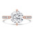 Round Diamond Hidden Halo Compass Set Solitaire with Accents Engagement Ring in Rose Gold (MVSLG1631-R)