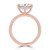 Round Diamond Hidden Halo Compass Set Solitaire with Accents Engagement Ring in Rose Gold (MVSLG1631-R)