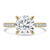 Round Diamond Solitaire with Accents Engagement Ring in Yellow Gold (MVSLG1645-Y)