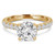 Round Lab Created Diamond Cathedral Solitaire with Accents Engagement Ring in Yellow Gold (MVSLG1176-Y)
