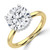 Round Lab Created Diamond Hidden Halo Solitaire with Accents Engagement Ring in Yellow Gold & White Gold (MVSLG1702-Y)