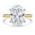 Oval Lab Created Diamond Hidden Halo Solitaire with Accents Engagement Ring in Yellow Gold & White Gold with Open Bridge (MVSLG1704-Y)