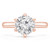 Round Diamond Hidden Halo Solitaire with Accents Engagement Ring in Rose Gold