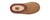 Womens Tazz in Color: Chestnut