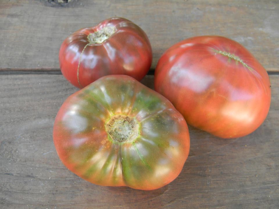 Cherokee Purple Tomato Seeds QTY. 25 (Indeterminate) Heirloom Vegetable Seeds South GA Seed Co.