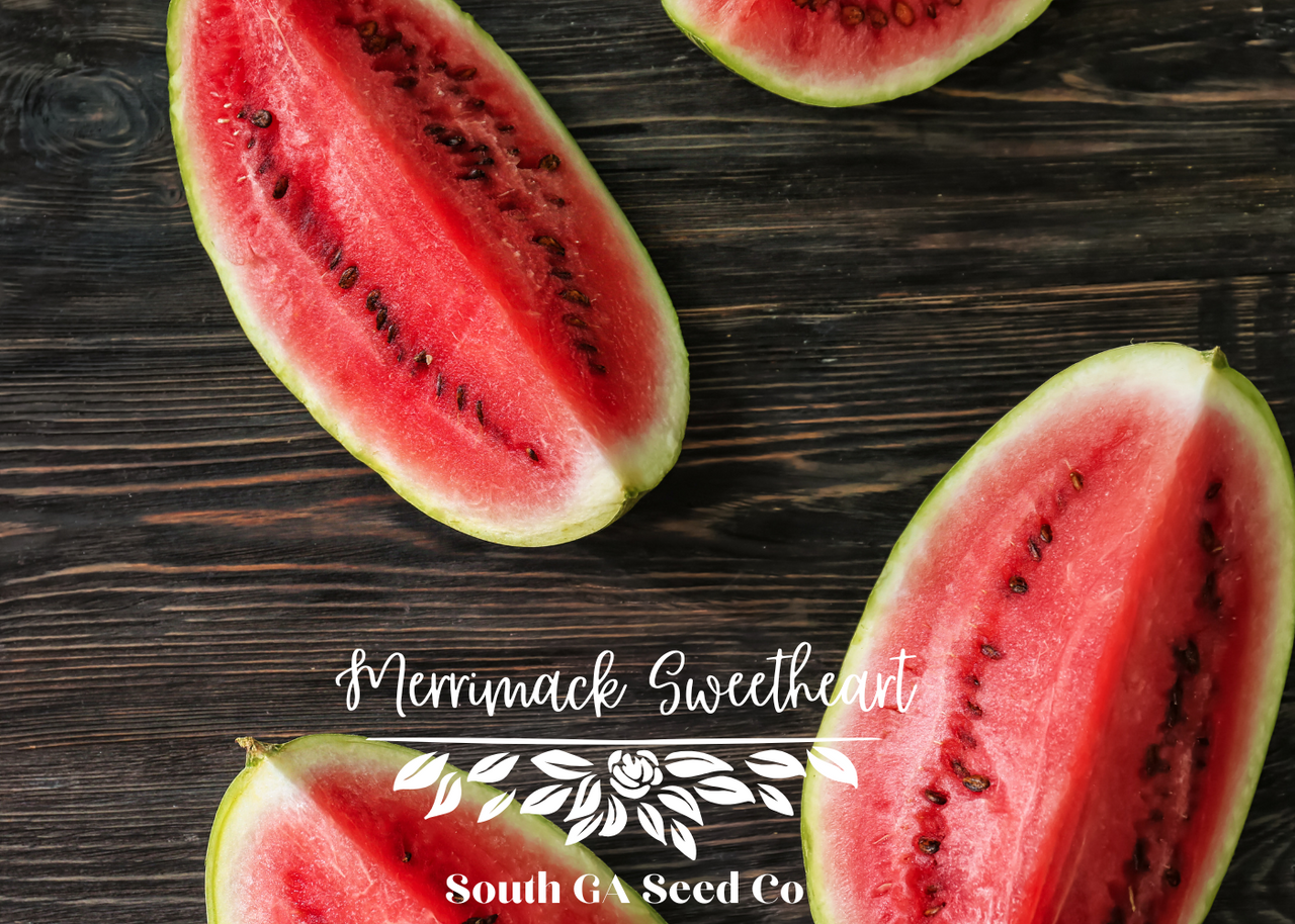 large ceramic planter pot Ceramic Flower Pot with Drainage and Bamboo Tray main image 1
